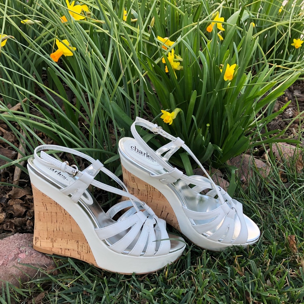 Charles David Strappy Platform Cork Wedge Sandals